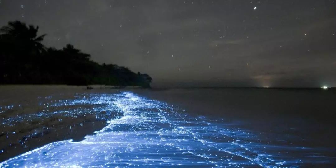 柬埔寨吴哥古迹_柬埔寨旅游景点吴哥窟_柬埔寨吴哥旅游攻略