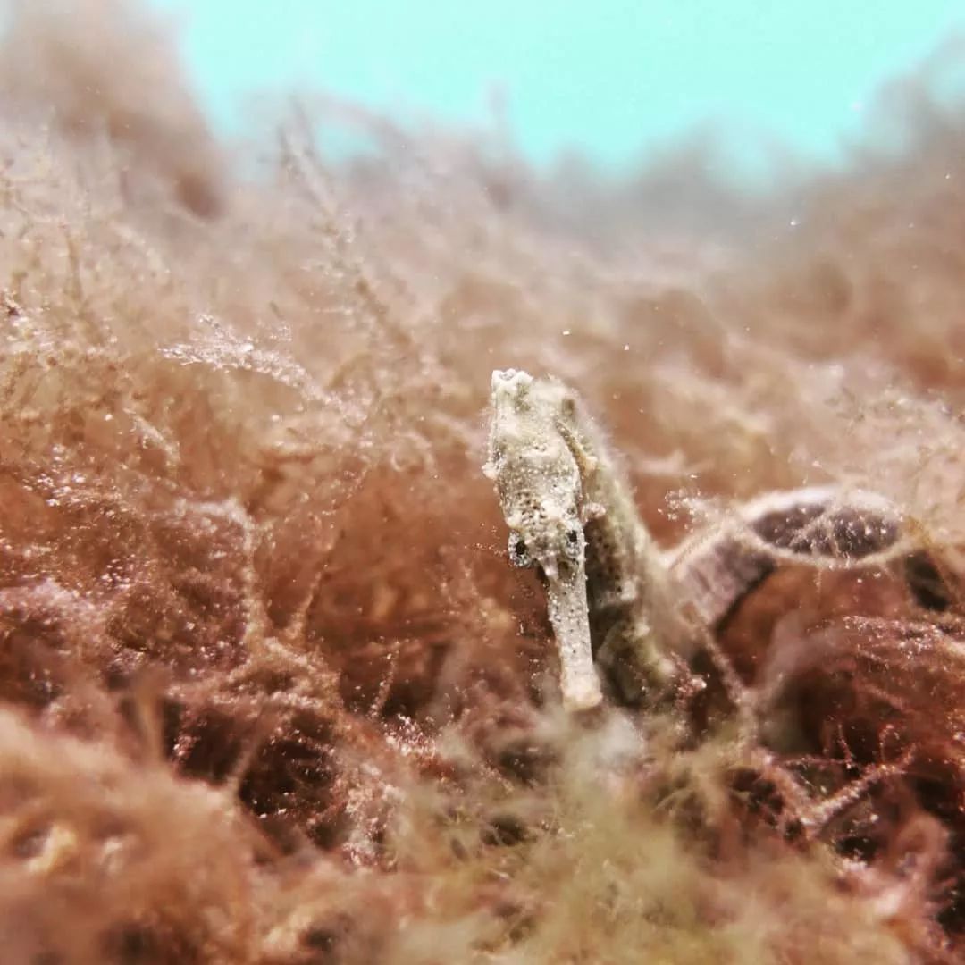 柬埔寨吴哥旅游攻略_柬埔寨吴哥古迹_柬埔寨旅游景点吴哥窟