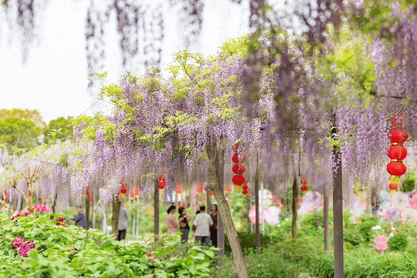 尚湖风景_尚湖旅游攻略_攻略旅游尚湖的路线