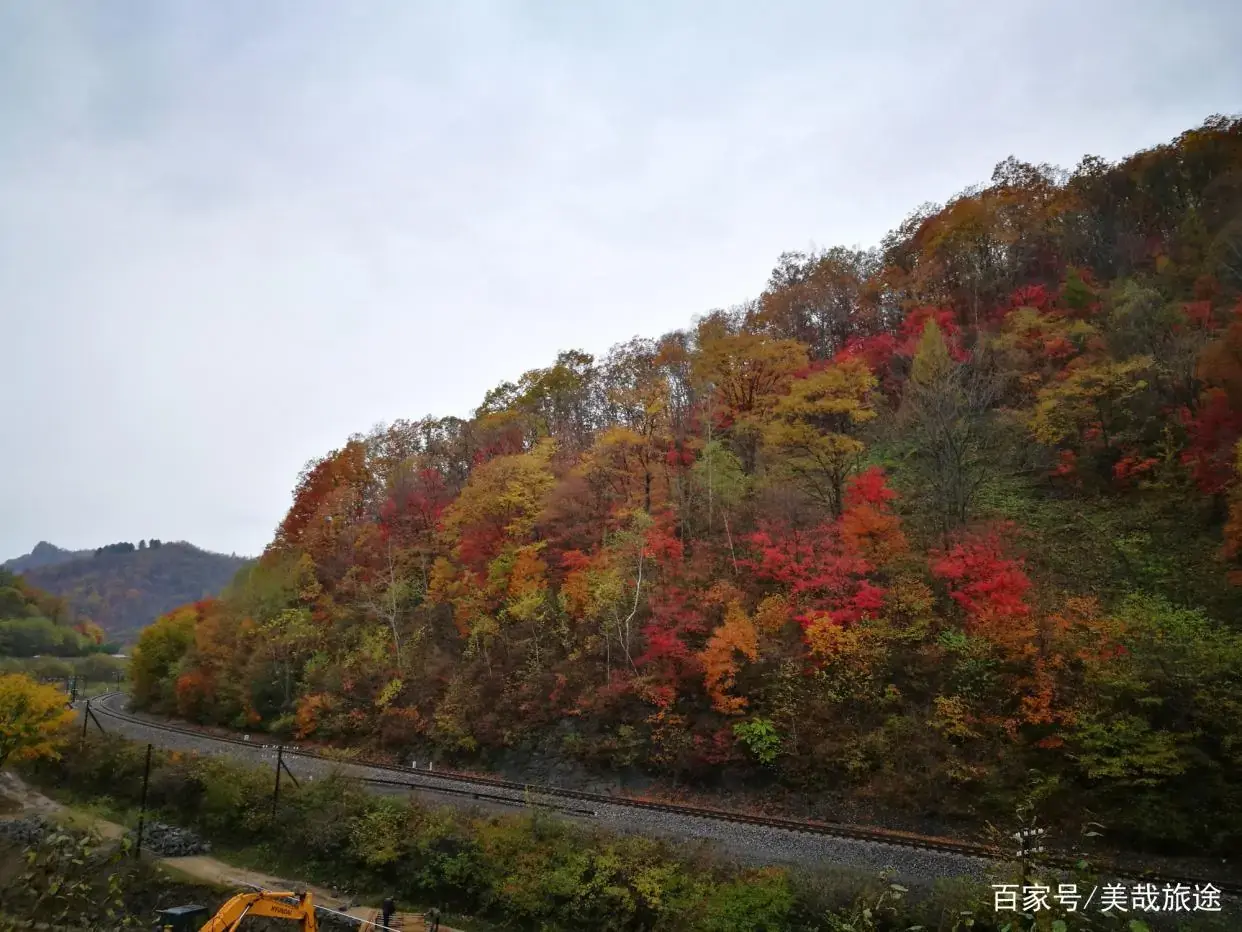 自驾辽宁攻略旅游游线路_辽宁旅游自驾游攻略_辽宁自驾游最佳路线图