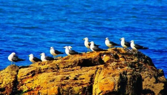 宽甸绿江风景_宽甸绿江村旅游景区_宽甸绿江村旅游攻略