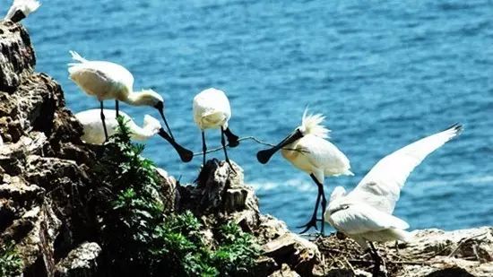 宽甸绿江村旅游攻略_宽甸绿江村旅游景区_宽甸绿江风景