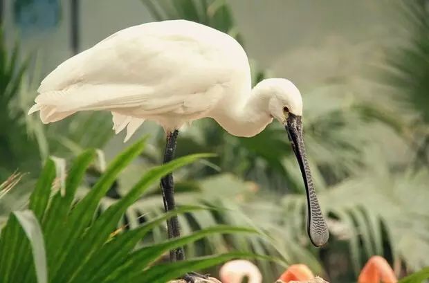 宽甸绿江村旅游攻略_宽甸绿江村旅游景区_宽甸绿江风景