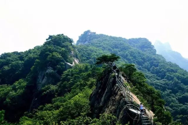 宽甸绿江村旅游攻略_宽甸绿江风景_宽甸绿江村旅游景区