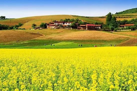 宽甸绿江村旅游攻略_宽甸绿江村旅游景区_宽甸绿江风景