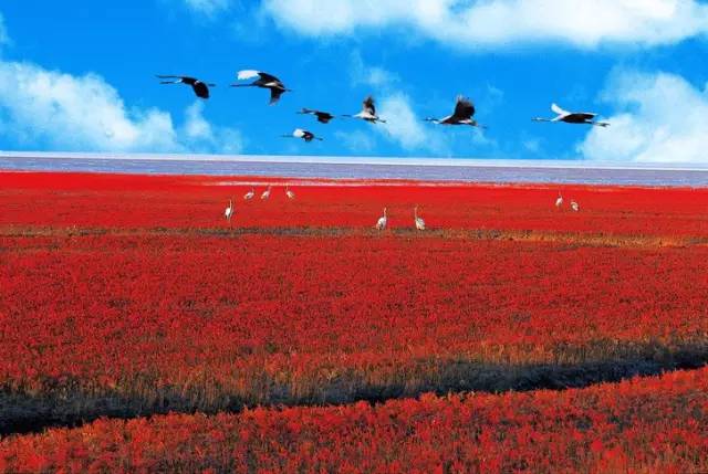 宽甸绿江村旅游攻略_宽甸绿江风景_宽甸绿江村旅游景区