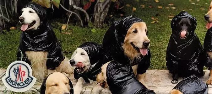 情侣装批发厂家_情侣装批发渠道_时尚情侣装批发