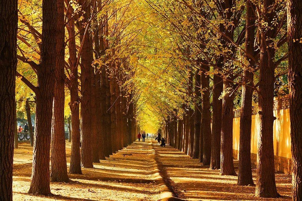 辽宁旅游自驾游攻略-辽宁自驾游线路(图13) 辽宁自驾游线路_辽宁旅游自驾游攻略_自驾辽宁攻略旅游游玩