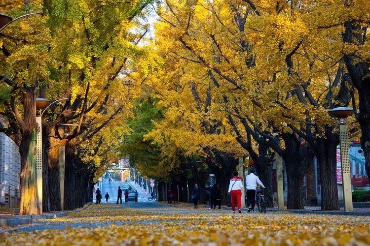 辽宁旅游自驾游攻略-辽宁自驾游线路(图14) 自驾辽宁攻略旅游游玩_辽宁自驾游线路_辽宁旅游自驾游攻略