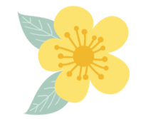 宽甸绿江村旅游攻略-宽甸绿江风景