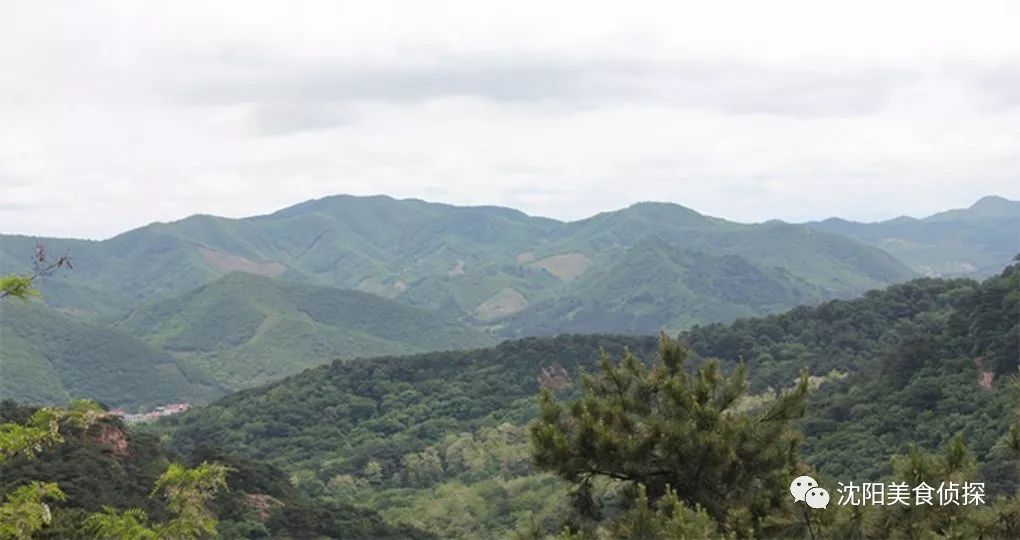宽甸绿江村旅游景区_宽甸绿江风景_宽甸绿江村旅游攻略