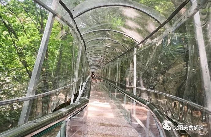 宽甸绿江村旅游景区_宽甸绿江村旅游攻略_宽甸绿江风景