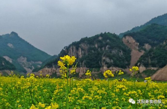 宽甸绿江风景_宽甸绿江村旅游攻略_宽甸绿江村旅游景区