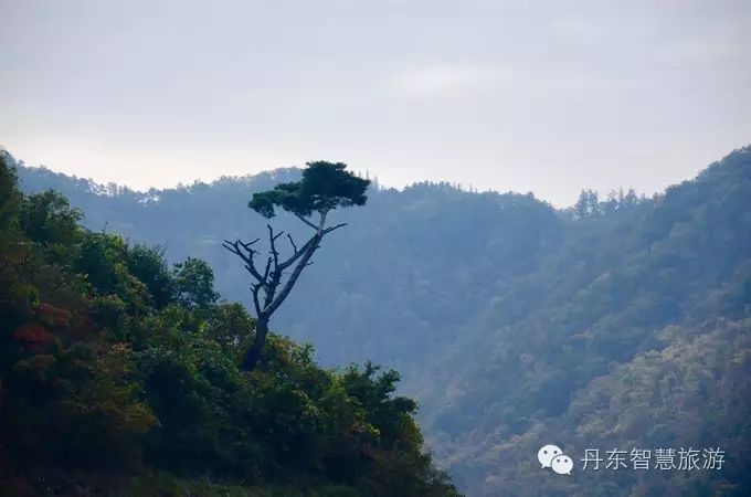 宽甸绿江村旅游攻略-宽甸绿江村自驾游攻略(图39) 宽甸绿江村旅游攻略_宽甸绿江村自驾游攻略_宽甸绿江村旅游景区