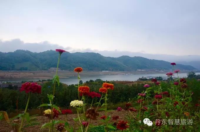 宽甸绿江村旅游攻略-宽甸绿江村自驾游攻略(图54) 宽甸绿江村旅游攻略_宽甸绿江村旅游景区_宽甸绿江村自驾游攻略