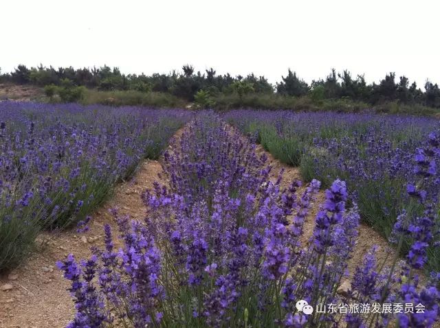 旅行度假村_度假村落_辉煌度假村 旅游攻略