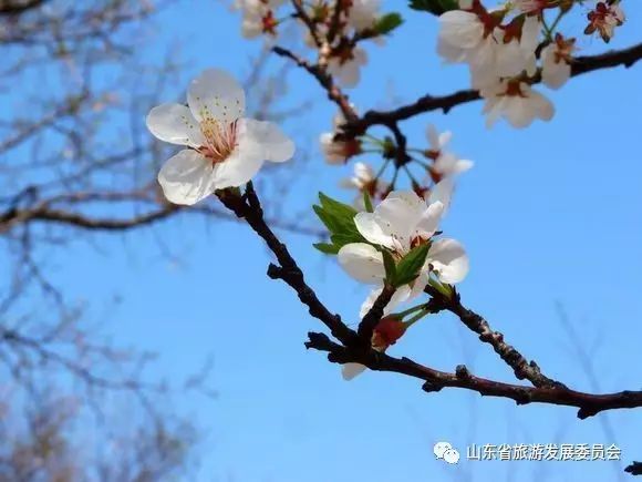 旅行度假村_度假村落_辉煌度假村 旅游攻略