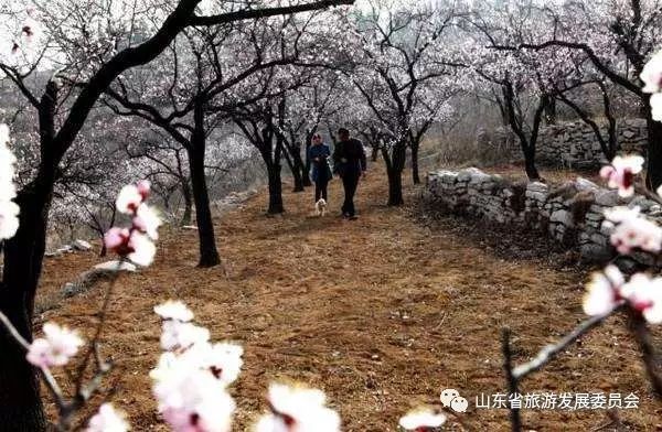 旅行度假村_辉煌度假村 旅游攻略_度假村落