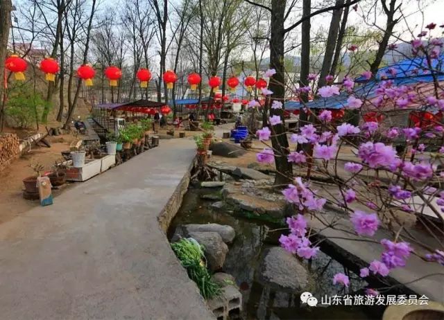 旅行度假村_辉煌度假村 旅游攻略_度假村落