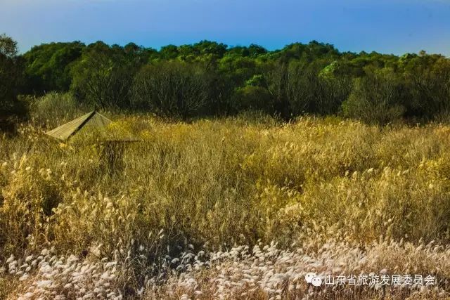 辉煌度假村 旅游攻略_旅行度假村_度假村落