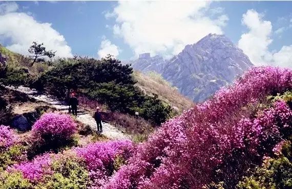 辉煌度假村 旅游攻略_旅行度假村_度假村落