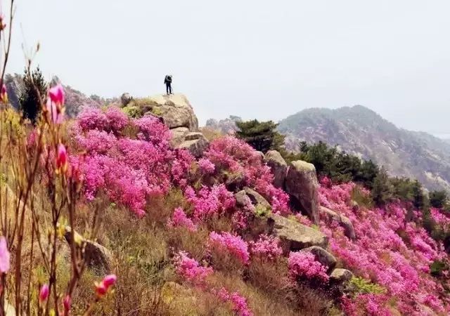 旅行度假村_度假村落_辉煌度假村 旅游攻略