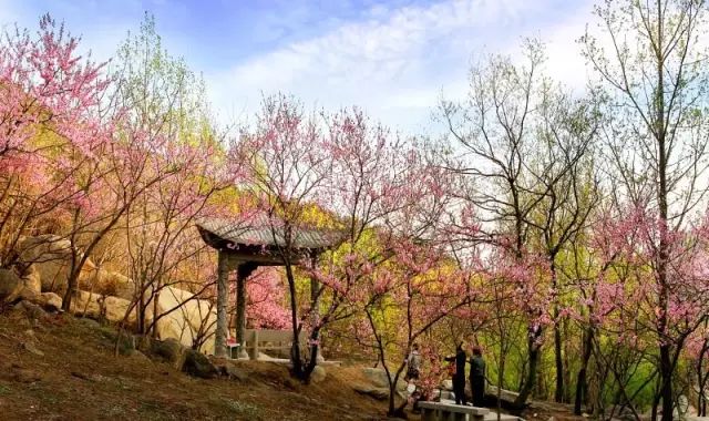 辉煌度假村 旅游攻略_旅行度假村_度假村落