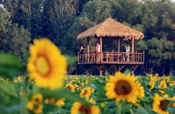 旅行度假村_辉煌度假村 旅游攻略_度假村落