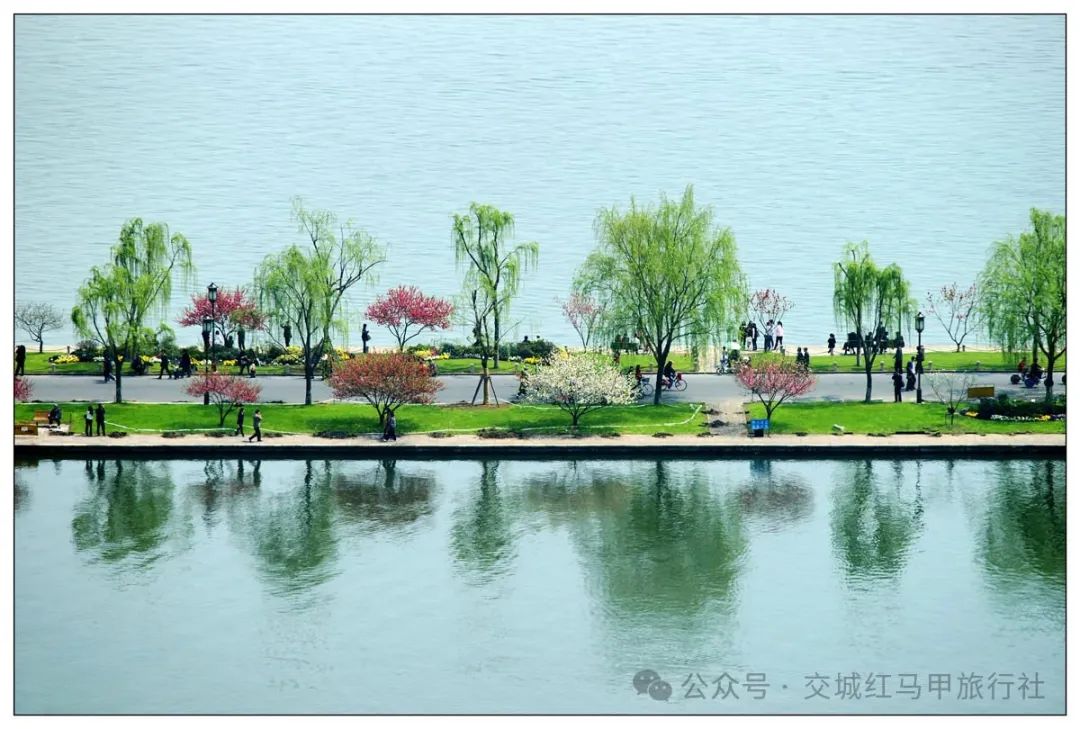 苏州乌镇上海三日游_上海苏州乌镇旅游攻略_上海苏州乌镇完美路线