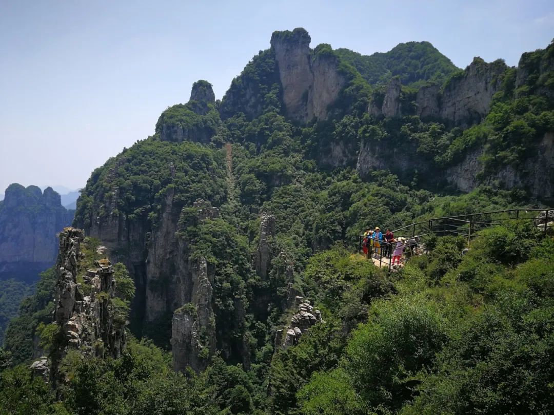 王莽岭景色_王莽岭景区视频_王莽岭旅游攻略