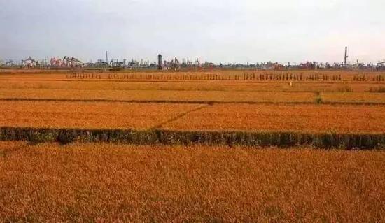 辽宁旅游自驾游攻略_辽宁自驾游最佳路线图_辽宁自驾游线路