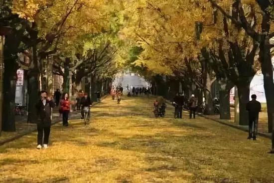 辽宁旅游自驾游攻略_辽宁自驾游线路_辽宁自驾游最佳路线图