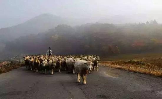 辽宁自驾游最佳路线图_辽宁旅游自驾游攻略_辽宁自驾游线路