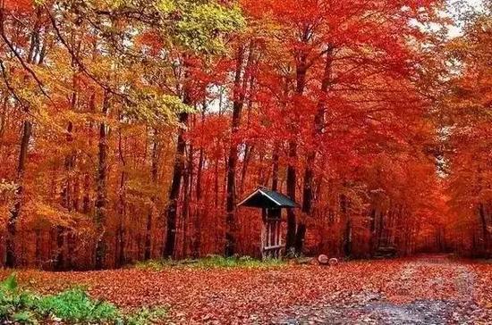 辽宁旅游自驾游攻略_辽宁自驾游最佳路线图_辽宁自驾游线路