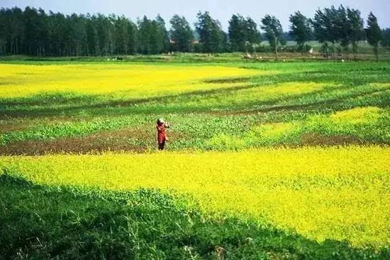 辽宁自驾游线路_辽宁自驾游最佳路线图_辽宁旅游自驾游攻略