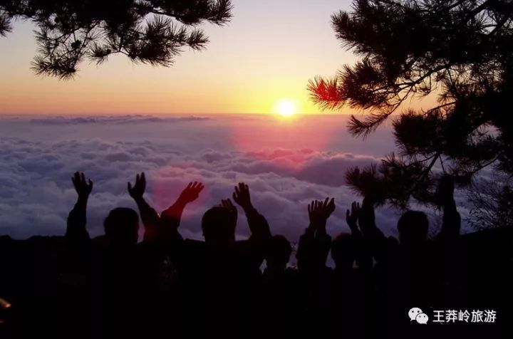 王莽岭自驾游_王莽岭景色_王莽岭旅游攻略