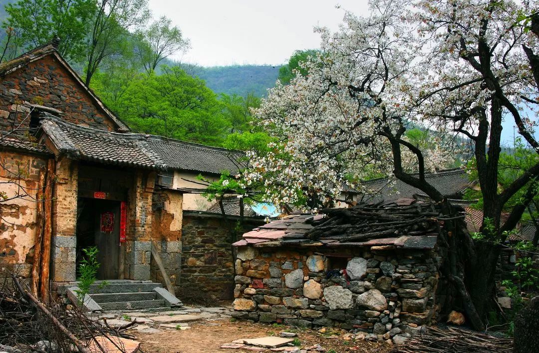 王莽岭自驾游_王莽岭景色_王莽岭旅游攻略