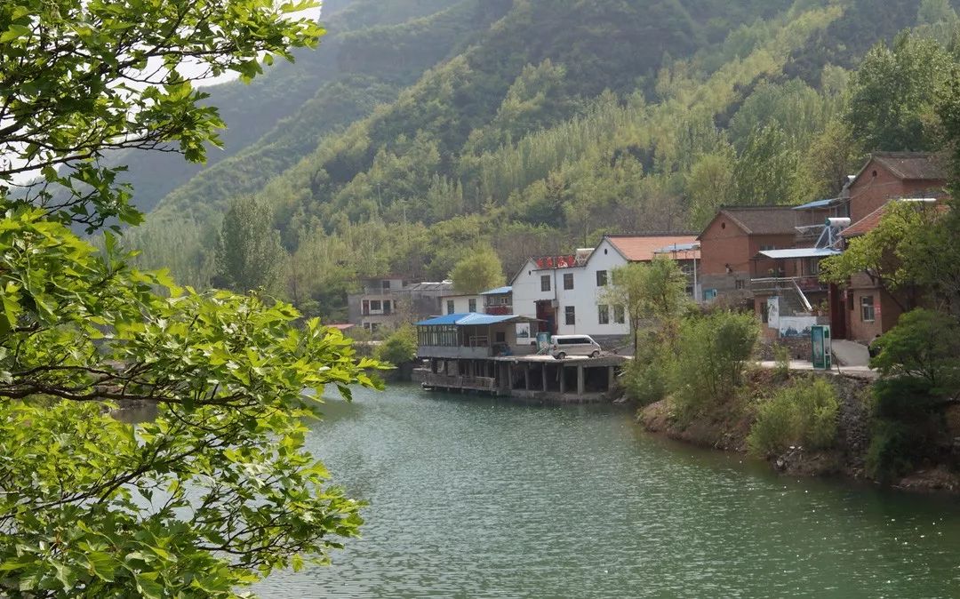 王莽岭旅游攻略_王莽岭自驾游_王莽岭景色