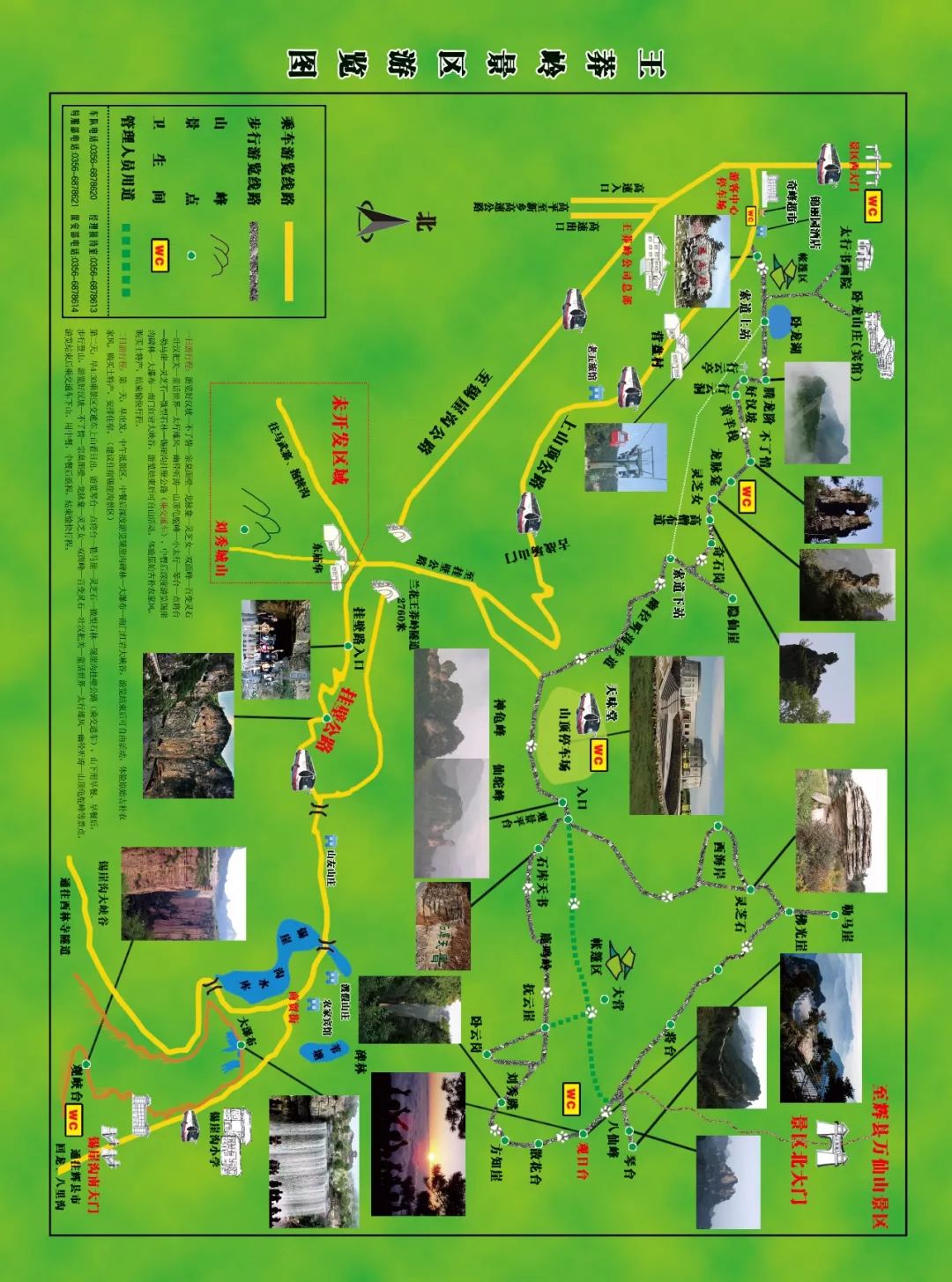 王莽岭旅游攻略_王莽岭自驾游_王莽岭景色