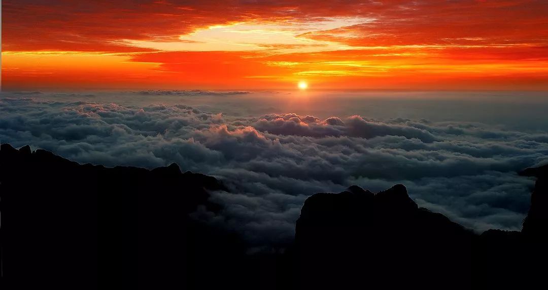 王莽岭旅游攻略_王莽岭景色_王莽岭自驾游