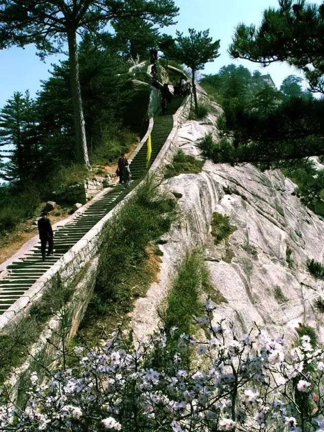 王莽岭自驾游_王莽岭旅游攻略_王莽岭山顶住宿