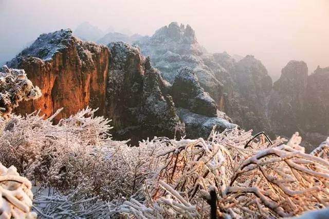 王莽岭旅游攻略_王莽岭山顶住宿_王莽岭自驾游