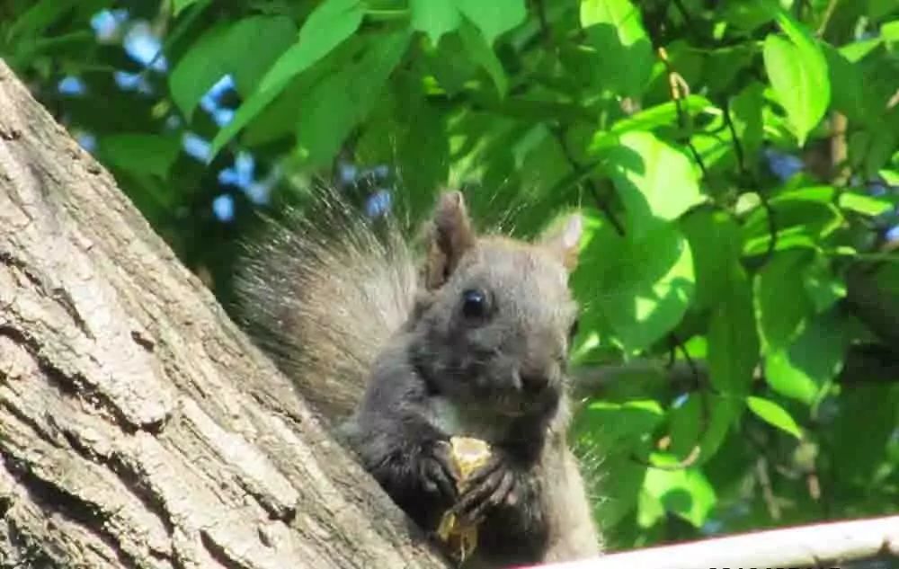 尧山游玩攻略_尧山风景区旅游攻略_尧山旅游攻略