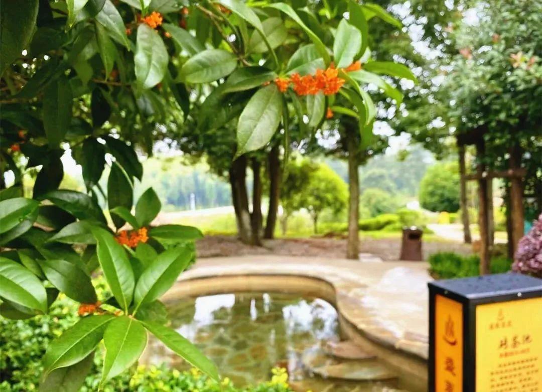 九宫山图_九宫山旅游攻略住宿_九宫山山上住宿哪家好