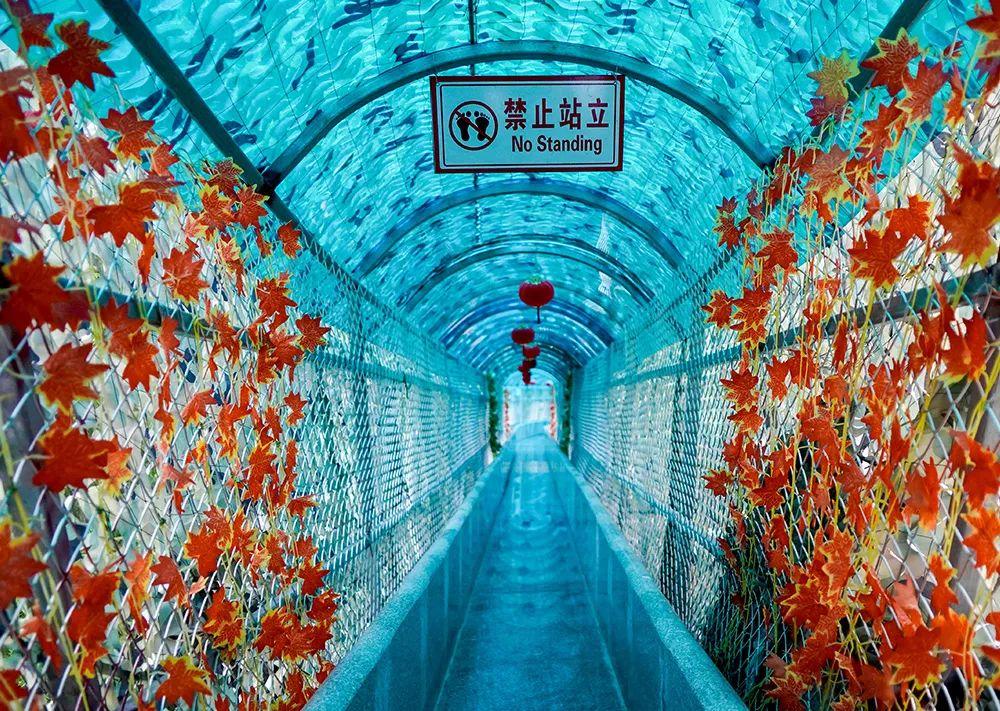 九宫山山上住宿哪家好_九宫山旅游攻略住宿_九宫山图