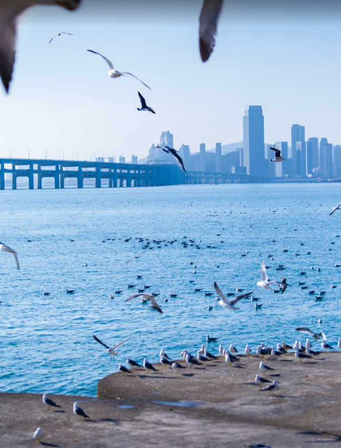 华夏旅游怎么样_华夏城旅游攻略_华夏旅游网站