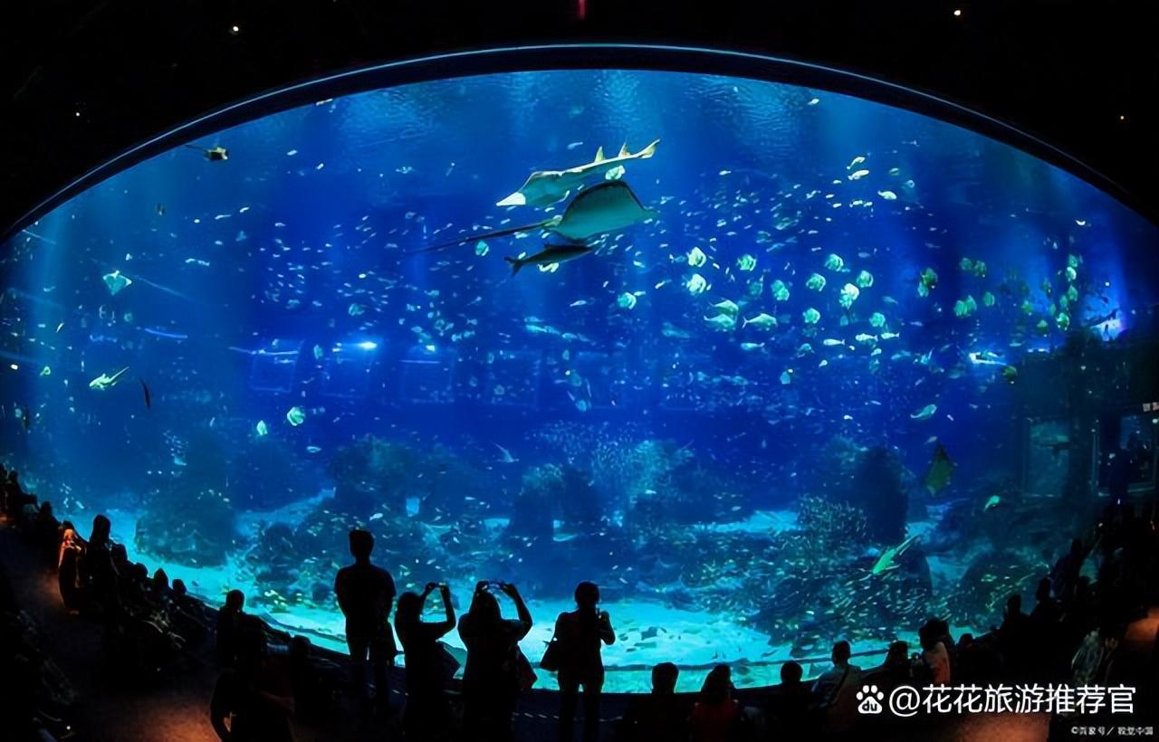 华夏旅游网官网_华夏旅游怎么样_华夏城旅游攻略