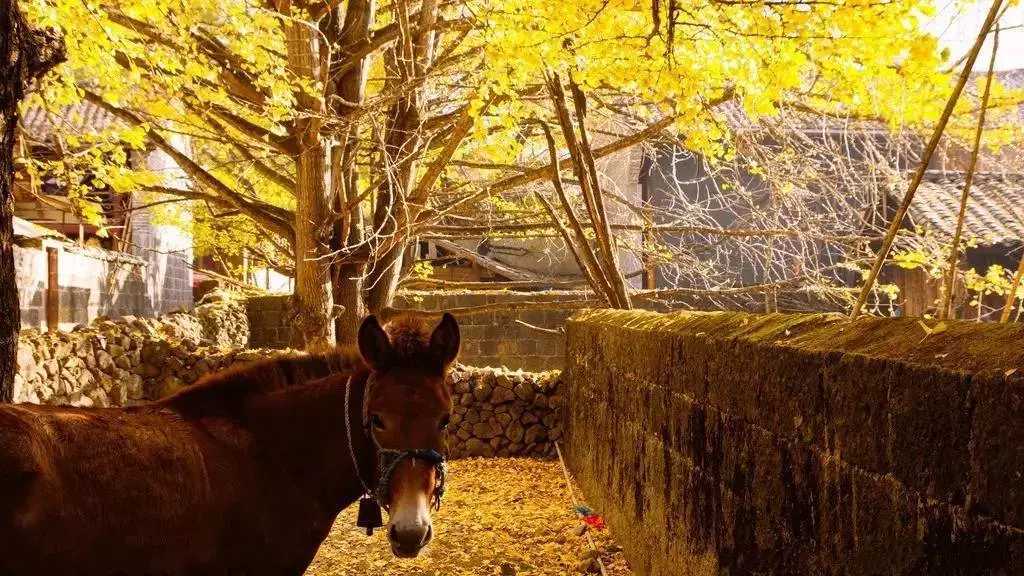 珍珠泉攻略旅游路线_珍珠泉风景区游玩攻略_珍珠泉旅游攻略
