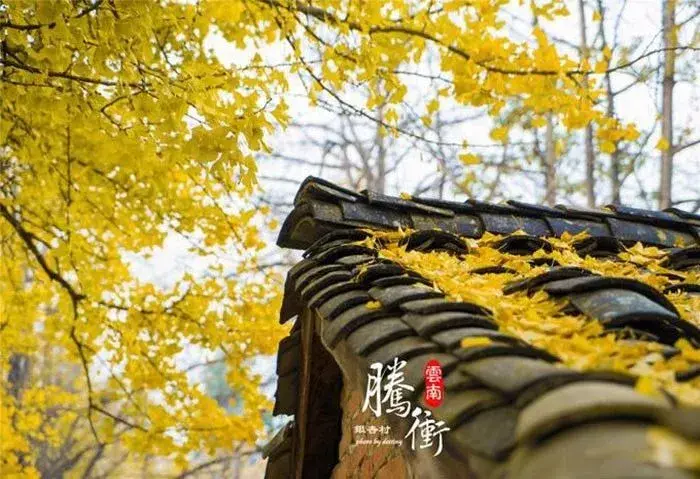 珍珠泉风景区游玩攻略_珍珠泉旅游攻略_珍珠泉攻略旅游路线