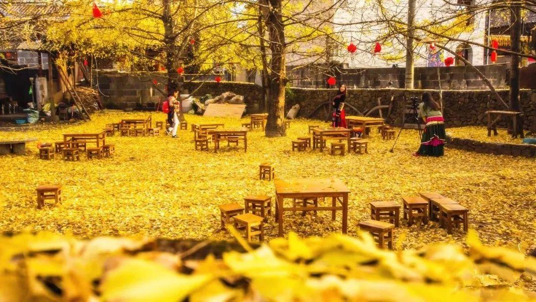 珍珠泉攻略旅游路线_珍珠泉旅游攻略_珍珠泉风景区游玩攻略